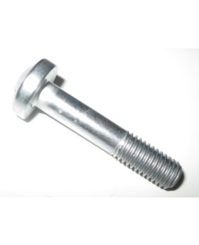 BMW Security Anti-Tamper Torx Bolt Screw M8x1.25x40 mm 51257705033 New Genuine
